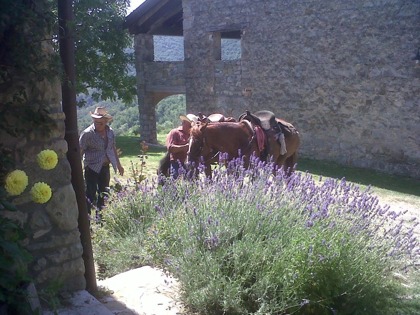 La Piana Dei Castagni Villa Castel dʼAiano Eksteriør bilde
