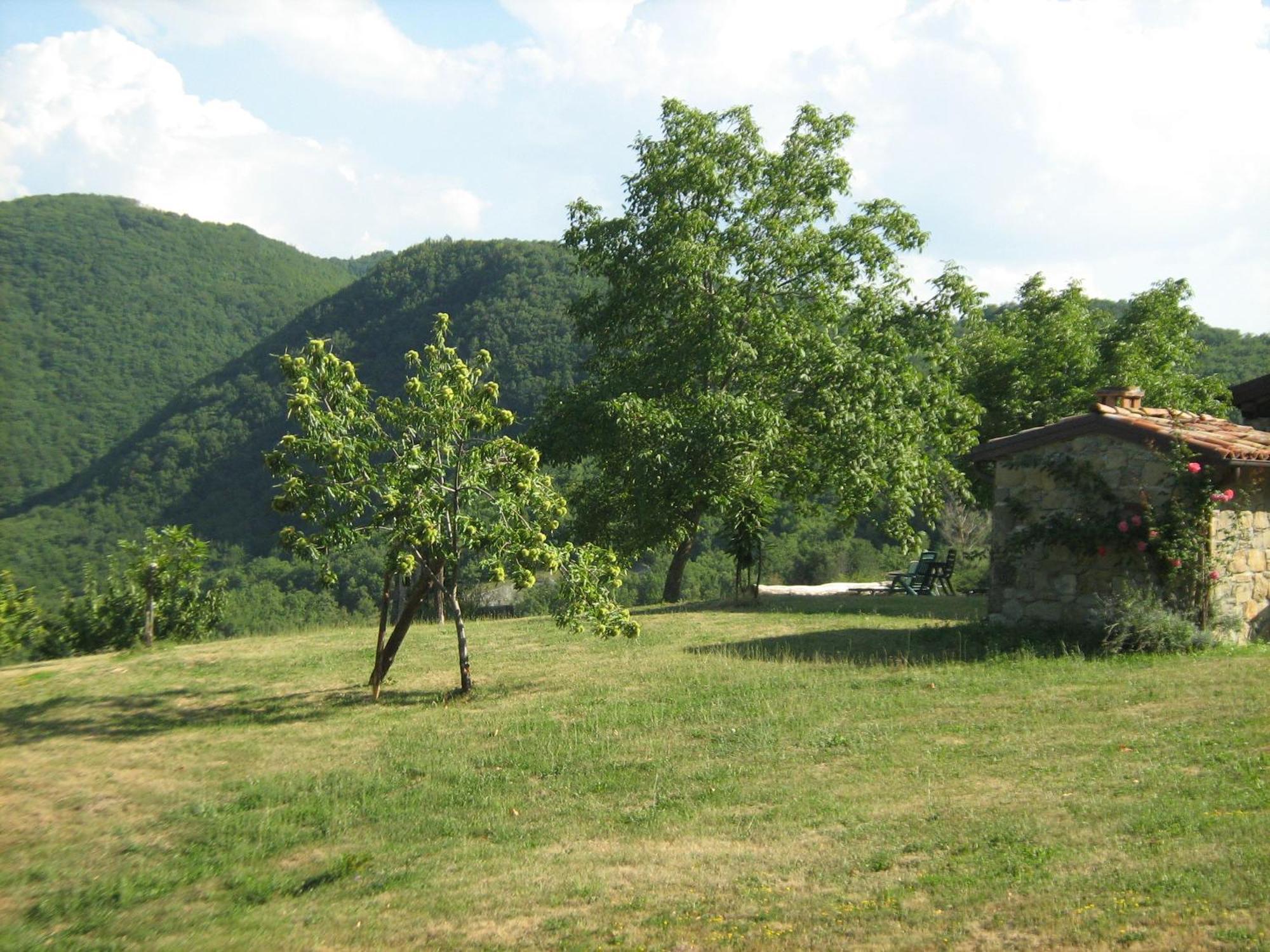 La Piana Dei Castagni Villa Castel dʼAiano Eksteriør bilde