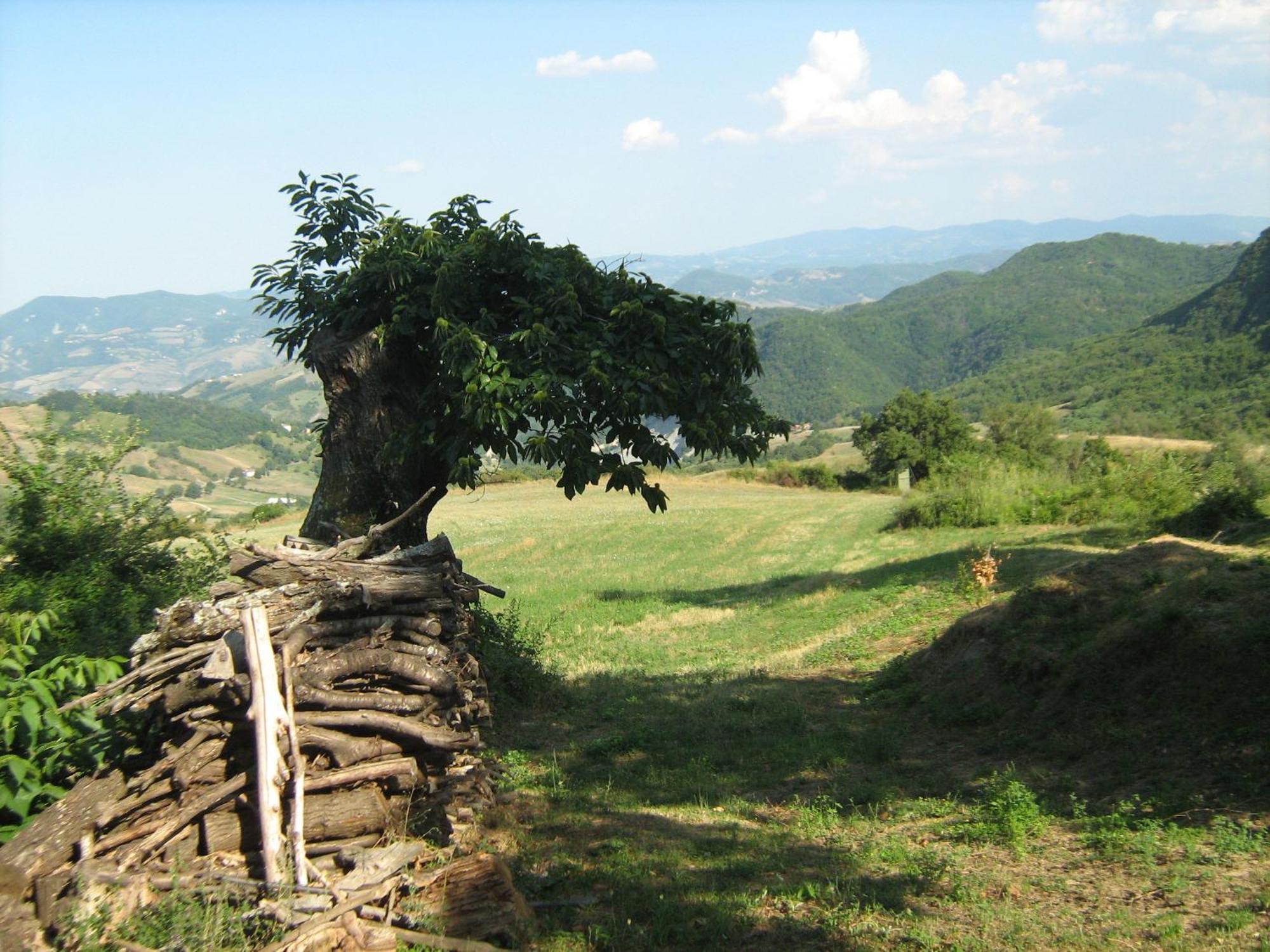 La Piana Dei Castagni Villa Castel dʼAiano Eksteriør bilde