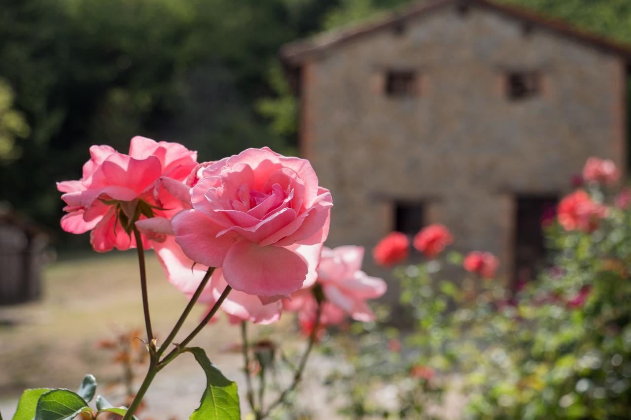 La Piana Dei Castagni Villa Castel dʼAiano Eksteriør bilde